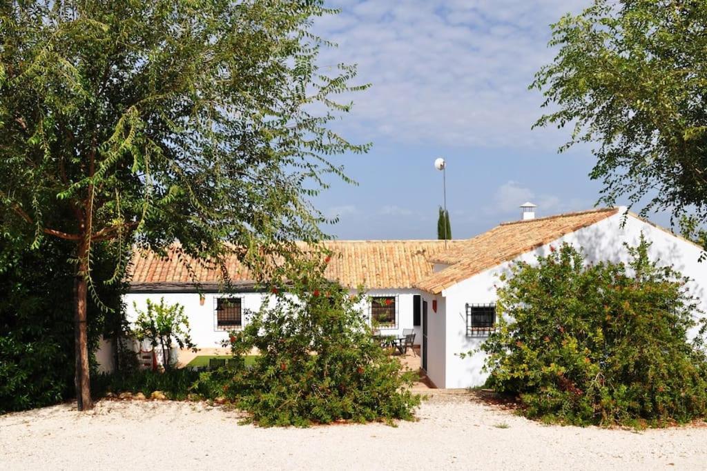 Casa Rural La Linana Córdoba Eksteriør bilde